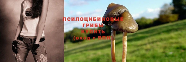 молекула духа Армянск
