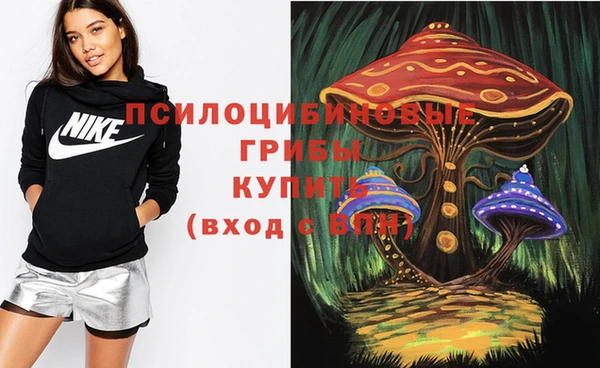 молекула духа Армянск