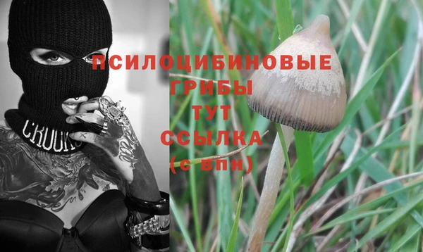 кристаллы Алексин