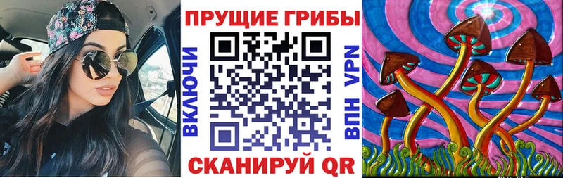 Псилоцибиновые грибы Psilocybine cubensis Ленинск