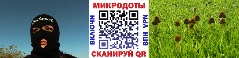 Псилоцибиновые грибы MAGIC MUSHROOMS  где можно купить   Ленинск 